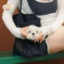 Denim Explorer Pet Tote