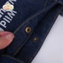 Denim Explorer Pet Tote