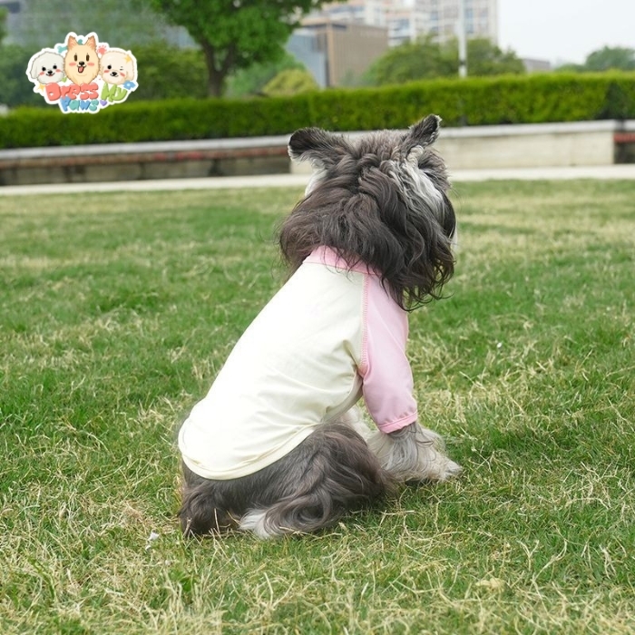 JU2506 39-46 (5) Sweet Tooth Tee